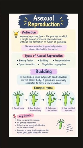 Asexual Reproduction 🧬🌱#ScienceBloom #ytshorts #youtubeshorts #sciencenotes #quickrevision #ncert