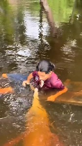 31K views · 283 reactions | Mágica selva ❤️ #amazoniaperuana #Naturaleza #ecology #wildlife | Puerto Inca "La Perla del Pachitea" | Facebook