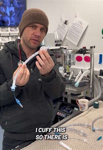 Understanding Endotracheal Tubes in Veterinary Medicine