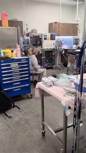 Compassionate ICU Care for Brave Little Souls