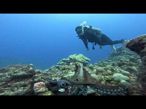 Waterworld – The Entire Story Explained | Movie Recap