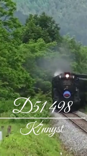 Another Railway with D51 498 | D51 498のもう一つの鉄路 #japanese #steamtrain