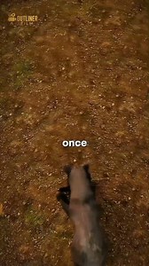 4.9K views · 69 reactions | A parasite that hacks the brain… nature never fails to surprise. 易裂 #fblifestyle #MindSnackFacts #ScienceExplained #ParasiteFacts #DidYouKnow | Outliner Film | Facebook