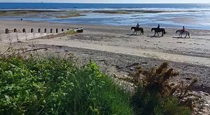 4.5K views · 128 reactions | The beach at Bembridge is much more than just a meeting of sea and sand. It’s a hotspot for walkers, paddlers and, look, horseback riders too. Thanks to Gil Tappenden for capturing this video. | Warner Hotels | Facebook