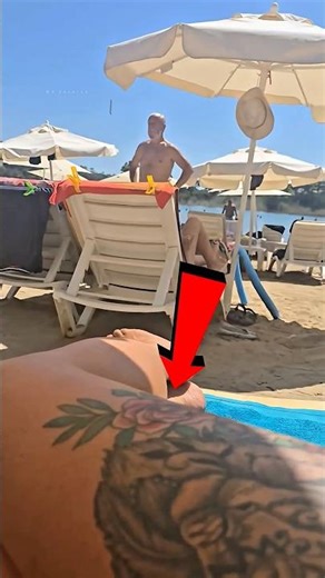 Building Wooden Log Cabin in Forest 🌳🌧️ | Survival House Step by Step "9 #shorts #facts