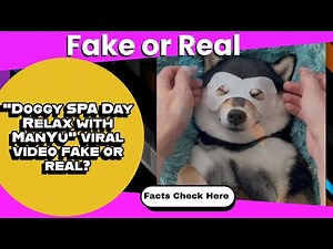 Viral Dog Spa Video is Real: Finally Something Real | "Doggy SPA Day Relax with ManYu" is Not AI