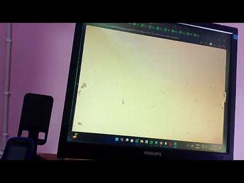 Tecno B1c Flash File Dead Mode 100% Tested