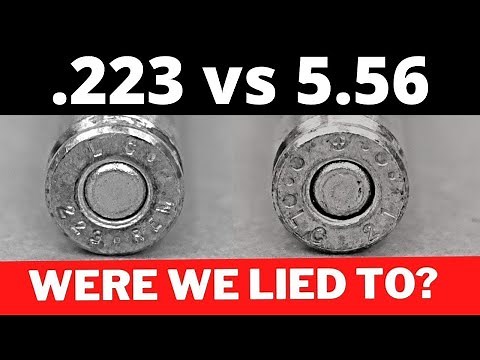 223 vs 556 - The Hidden Truth No One Tells You!