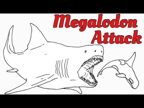 How To Draw The Megalodon | Megalodon Shark Attacking on Orca || Easy Monster Fish Drawing