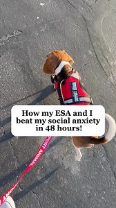 4.7K views · 2.6K reactions | Get qualified to live and travel almost anywhere with your pet in 3 easy steps (even if they have a “no pets” policy). Qualify online and instantly! Get doctor approval in 48 hours (or less) | My Emotional Support Animal | Facebook
