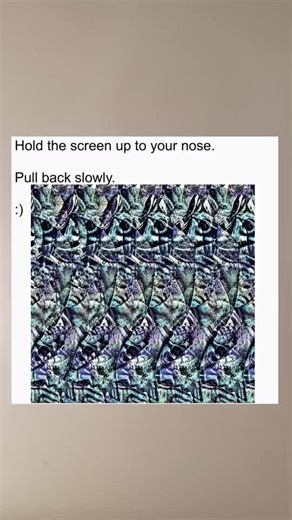 Spot the Fish Illusion - Easy Stereogram Tutorial