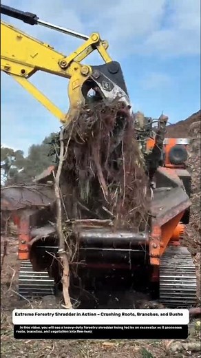Extreme Forestry Shredder in Action – Crushing Roots, Branches, and Bushes!