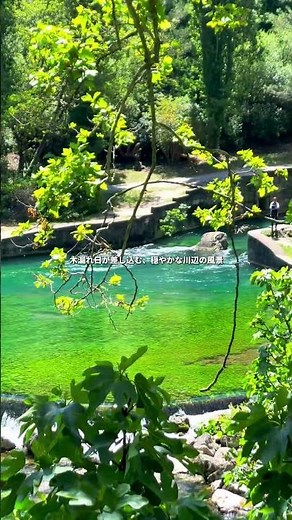 🇫🇷南フランスの隠れ家。緑と水に包まれた、美しい村へ🌿#絶景 #フランス旅行 #観光 #夏休み #ご褒美旅行