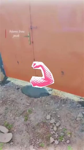 Vidéos de l'homme de Temporisation (@temporisation) avec son original - l'homme de Temporisation