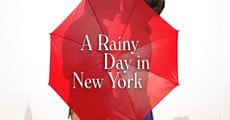 A Rainy Day in New York (2019)  - Ver Película Completa en Español - FULLTV