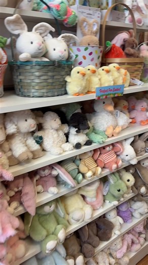 Discover the Joy of Learning Express Toy Store in Crestview Hills