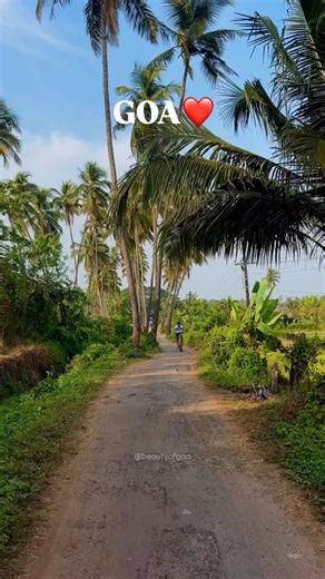 Goa: A Natural Masterpiece!😍🌿 . . Follow @beautyofgoa for more!! 🌍 www.beautyofgoa.com . . #goa #beautyofgoa #goavibes #goadiaries #goaindia #nature #goatravel #hinterland #goabeyondbeaches #coconuttreeroad | Beauty of Goa