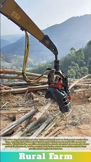 Mechanized Logging 101 How a Hydraulic Harvester Head Works: Cutting and Processing Logs in Seconds