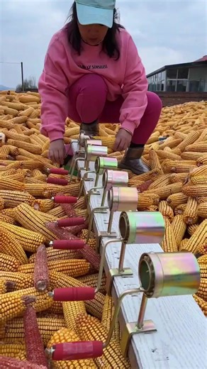 15K views · 71 reactions | Easy, quick and fast sweet corn stripper ⧸ remover ⧸ cutter  | Satisfying Hub | Facebook