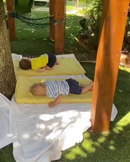 Three things in this video are working on the babies sleeping in it. The birds are slowing their nervous system. The sunlight is teaching their developing brains to tell day from night. The open air carries far fewer viruses than the air inside a daycare classroom.The human nervous system has two settings: fight-or-flight, which keeps you alert, and rest-and-digest, which winds you down. Birdsong tips the body toward rest-and-digest mode. In 2017, researchers at Brighton and Sussex Medical Schoo