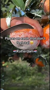 Unreal Places in the Netherlands