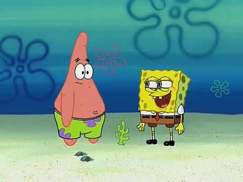 Rock-a-Bye Bivalve-clip1