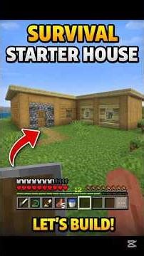 Minecraft Survival | Building My First Starter House 🏠 | Part 2 (Hindi/Urdu)