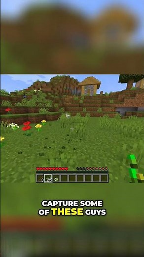 How I Captured Chickens in Minecraft!