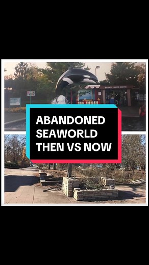 I just can’t stop thinking about the whales 🐋 SeaWorld Ohio opened in 1970 and closed in 2000. This location was the second SeaWorld park to be built in the chain. Due to controversy and death, they have fully phased out the capture of any more killer whales. #abandoned #abandonedplaces #seaworld