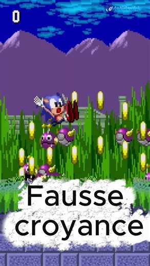 Sonic ne sait pas nager… à cause d’une erreur 😳