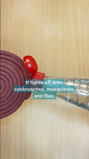 Homemade Spray That Kills ALL Insects Instantly! 🦟🐜🪳#shorts