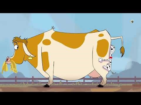 101 Dalmatian Street: Dylan Running into A Cow's Butt