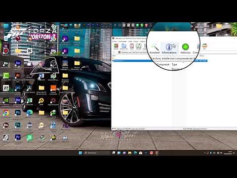 Comment Installé skinFiner 5.0 et Crack Windows 10 11