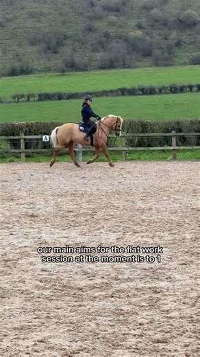 Tay Pienaar | Deeepp into our winter boot camp of short and sweet flat work sessions, pole work, hacking and all the things that are going to strengthen... | Instagram