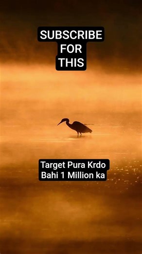 Muje Be Support kro bahi#shorts #india #youtube #transition