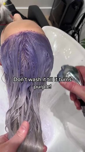 PSA: Don't wash your toner off too soon! ❌ @Zach Mesquit #WellaHair #WellaLife #WellaEducation #StylistsSupportingStylists #Blonde #Blonding #PlatinumBlonde #Toner #WellaBlonde #BlondeHair #Lifting #Lightener #BlondeToner #PurpleShampoo #PurpleToner