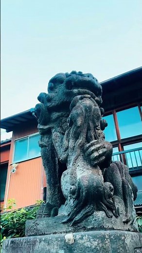 高円寺天祖神社。寛治元年創祀、高円寺の歴史を見守り続ける不屈の氏神。天照大御神の慈愛と、杜が放つ凛とした神気。 The Guardian of Koenji: Tenso Jinja.