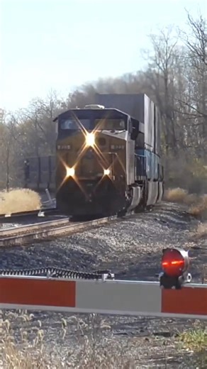 CSX I115 Intermodal Double Stack Train from Lodi, Ohio 11/2/2024 #shorts #csx #train #railroad #csxt