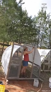 Moving Our Chicken Coops #Chickens #Farming #FarmAnimals #ChickenCoop | Sow the Land