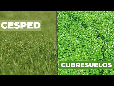 FLOOR COVERINGS or GRASS? 🤔 A complete guide with care instructions, ideas, and advantages