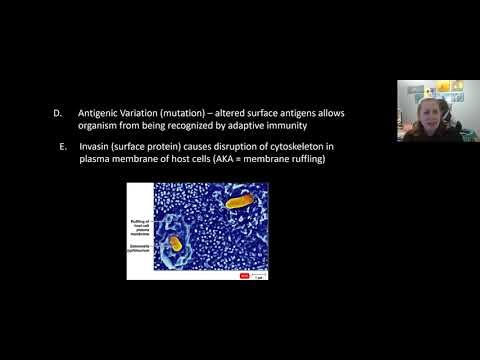 Microbial Mechanisms of Pathogenicity