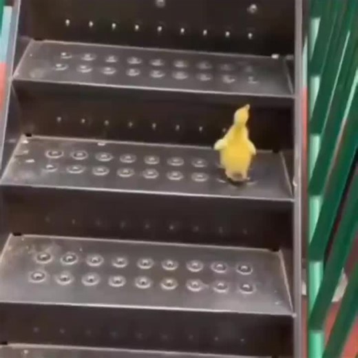 🧭 Leadership That Speaks Louder Than Words: Why Leading by Example Matters Most 🚀There's a reason the phrase “lead by example” never goes out of style because it works.In today’s fast-moving… | Sandeep Gulati🎯 | 20 comments