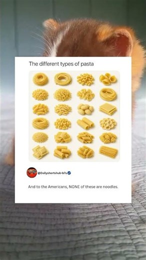 The different types of pastas.#foodlover #pasta #American'sfavorite