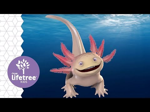 Axl the Axolotl | Buzzly's Buddies | Weird Animals VBS