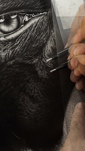 Skin texturing is my favourite process 😍😍 whats yours? Tags:#artbyalihaider #alihaiderrehman #hyperrealistic #hyperrealism #hyperrealisticart #hyperrealismmasters #hyperrealisticdrawing #artist #artistic #artsy #artgallery #sketch #sketchbook #sketching #sketchup #drawing #outline #asmrart #asmrdrawing #trick #technique #hyperrealismmasters #eyes #elder #elderlyportrait #wrinkle #wrinkledsoles #wrinkledskin | Art by Ali Haider