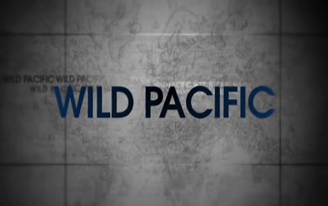 Galapagos (TV Mini Series 2006)