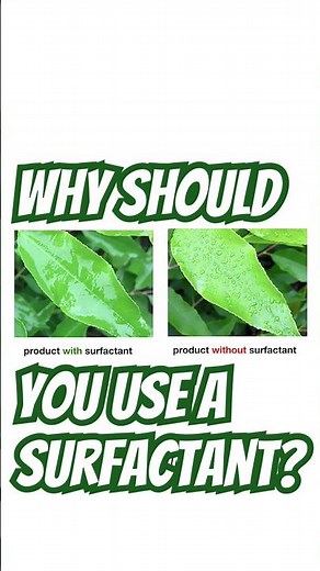 Why You NEED a Surfactant for Herbicides & Fungicides 🌱💧