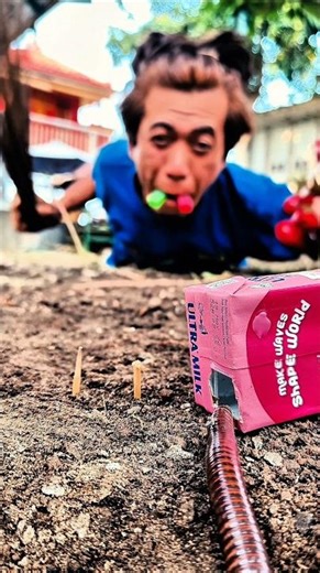 The best moment to trap a centipede #shortsvideo #shorts