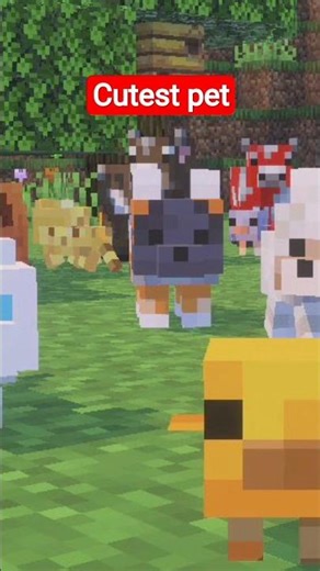 Top 10 Cutest Mobs in Minecraft🥰.#shorts #minecraft