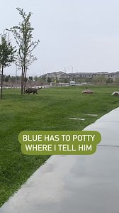 43K views · 777 reactions | You all know I potty on command. But I...